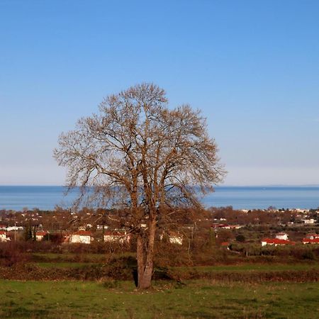 Elioj House Leptokarya (Pieria) Quarto foto